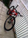 la foto 2 (8).JPG
