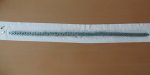 DSC04134-2.JPG