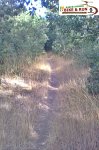 Foto0634.jpg