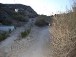 DSC02607.JPG