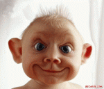 scrapsweb_humor-279789.gif