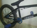 bmx2.jpg