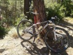 IMG-20140910-WA0004.jpg