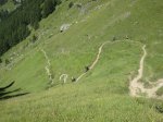 IMG_4050.JPG