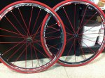 IMG-20120730-WA0001.jpg