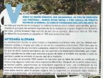 LITE 2.jpg