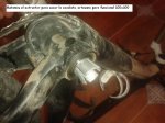 Foto 6.jpg