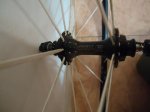 DSC01196.JPG