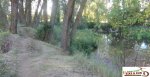 DSC03038.JPG