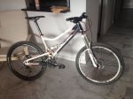 mongoose_teocali.jpg