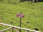 Imagen 393-2Âº (10).jpg