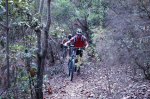 DSC_4661.JPG