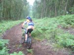 btt 010.jpg