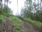 btt 013.jpg
