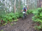 btt 015.jpg