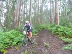 btt 019.jpg