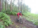 btt 028.jpg