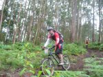 btt 031.jpg