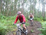 btt 035.jpg