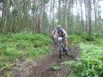 btt 038.jpg