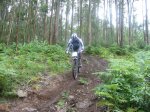 btt 044.jpg
