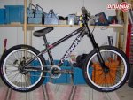 pbpic720553.jpg