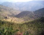 araia 009.jpg