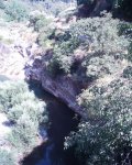 araia 025.jpg