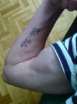 brazako tattoo [Resolucion de Escritorio].JPG