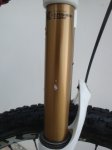 DSC03915.JPG