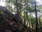 20140921_112033.jpg