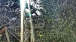 IMG-20140608-WA0052_1.jpg