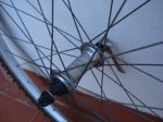 DSC05108.jpg
