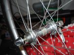 DSC05112.jpg