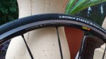 IMG-20130912-WA0005.jpg