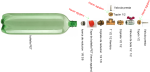 Booster_zps5babeffe (1).png