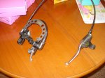 DSC05133.jpg