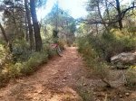 IMG_20140926_163812.jpg