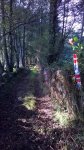 WP_20140925_001.jpg
