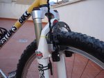 DSC05135.jpg