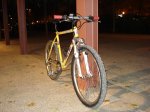 DSC05142.jpg