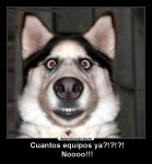 sorprendido.jpg