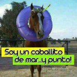 caballito.jpg