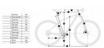 geometria trek.jpg