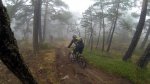 jarosa9.jpg