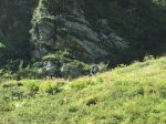 IMG_6711.JPG