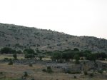proyecto5000_0003.JPG