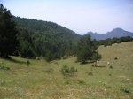 PICT0044_editado-1.jpg