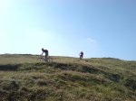 DSC00162.JPG