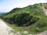 IMG_0067.JPG
